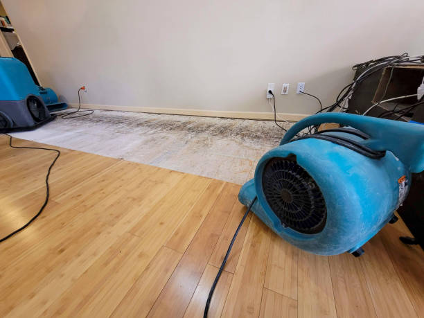 Professional Emergency Water Damage technician working in Bessemer, MI